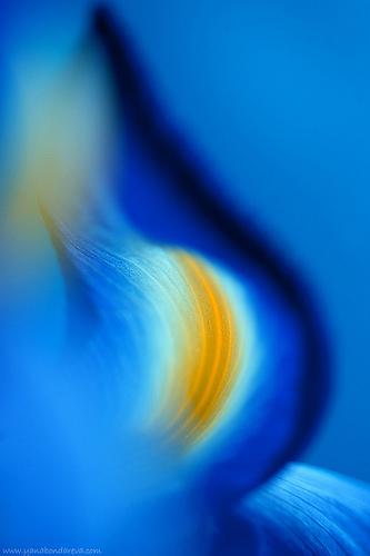 purplebaby444:

microwalrus:
(via Yana_B)
