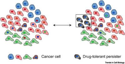 #trendsincellbiology #cancer #hétérogénéité #cellules Hétérogénéité intratumorale : plus que de simples mutations