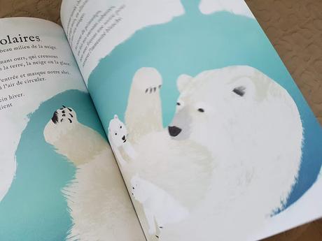 Nous, les animaux architectes de Laura Knowles et Chris Madden ♥ ♥ ♥