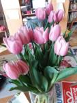 Des Tulipes contre le Cancer