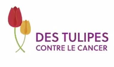 Des Tulipes contre le Cancer