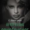 Un petit jeu sans conséquence de JC Harroway