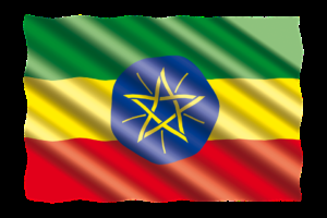 Focus sur les stratégies de communication dans l’affaire du crash du Boeing de l’Ethiopian Airlines