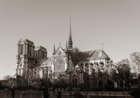 Hommage à Notre-Dame de Paris