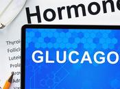 DIABÈTE ennemi juré, glucagon, pourrait être précieux allié