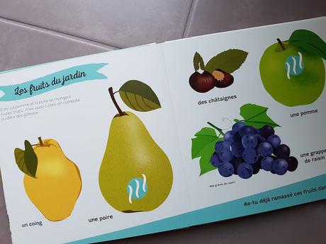 Mon grand imagier des odeurs : Les délicieuses odeurs des fruits et légumes de Véronique Petit