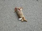 Suis-je machine tuer?