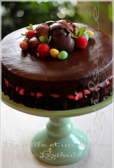 ~Gâteau au chocolat et mousse aux framboises~