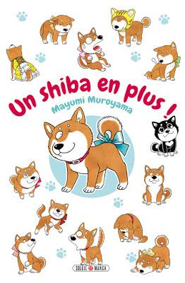Un Shiba en Plus, la chronique canine !