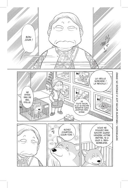 Un Shiba en Plus, la chronique canine !