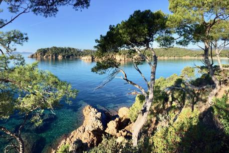 Un petit coin de paradis à Bormes-les-Mimosas