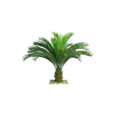 home depot palm trees palm plants home depot tall tree in planter plant sago prices outdoor lighted pygmy date palm home depot home depot palm trees prices
