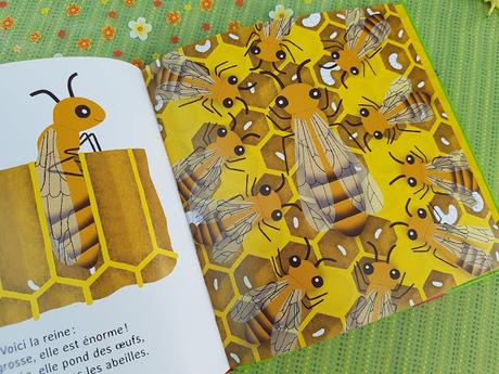 Les P'tites abeilles - La vie dans la ruche de Fleur Daugey et Chloé du Colombier ♥ ♥ ♥