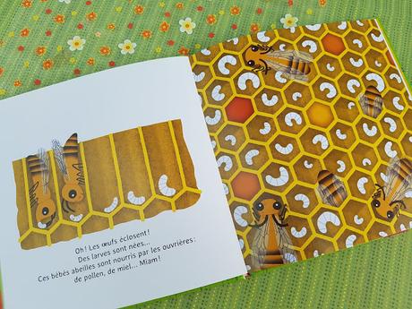 Les P'tites abeilles - La vie dans la ruche de Fleur Daugey et Chloé du Colombier ♥ ♥ ♥