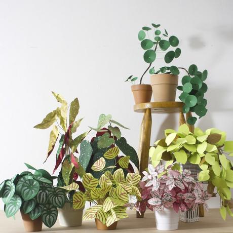 Plante en papier DIY : la solution idéale quand on n’a pas la main verte !