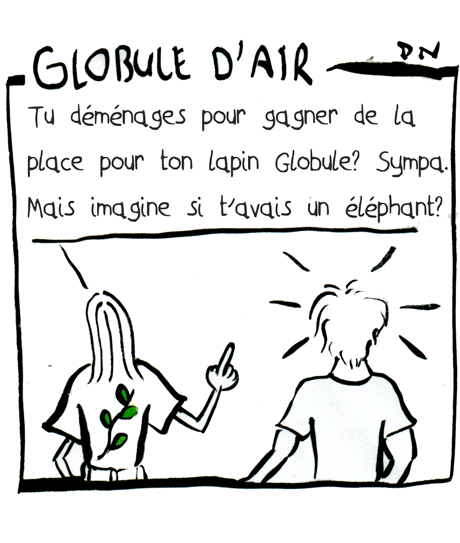 Globule, une vie de jeune lapin - la chronique carrottée