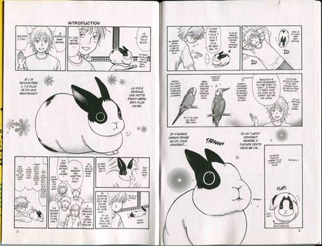 Globule, une vie de jeune lapin - la chronique carrottée