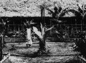 Mort d’une artiste