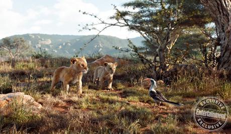 Nouvelles images pour le live-action Le Roi Lion de Jon Favreau Nouvelles images pour le live-action Le Roi Lion de Jon Favreau