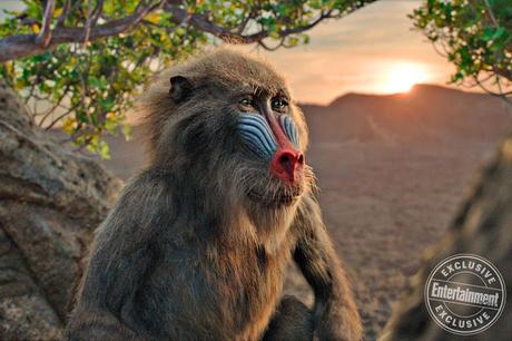 Nouvelles images pour le live-action Le Roi Lion de Jon Favreau Nouvelles images pour le live-action Le Roi Lion de Jon Favreau