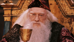 Jeudi citation 2019 #17