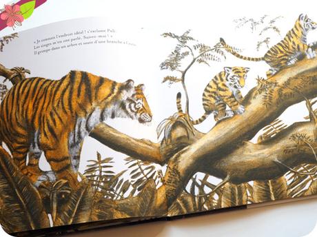 Petits Tigres Petits Tigres