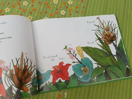 Le voyage du pollen - La reproduction des plantes de Mi-Gyeong-Kim et Yeong-Rim Lee, Marguerite Tiberti