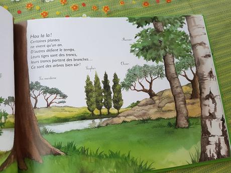 Une belle plante ! Les plantes à fleurs de Marguerite Tiberti et Capucine Mazille