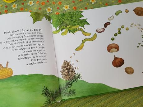 Une belle plante ! Les plantes à fleurs de Marguerite Tiberti et Capucine Mazille