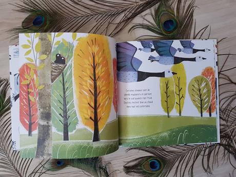 Vole, oiseau vole de Carme Lemniscates