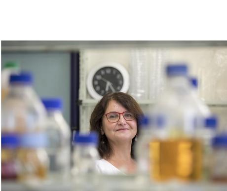 L’équipe de recherche de l’Université de technologie de Graz travaille déjà au développement et à la mise en œuvre de solutions biotechnologiques pour une diversité microbienne sur mesure, y compris pour l’hôpital avec ses contraintes rigoureuses d’asepsie.