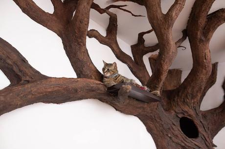 Cet artiste a fabriqué un fantastique arbre d’intérieur pour son chat