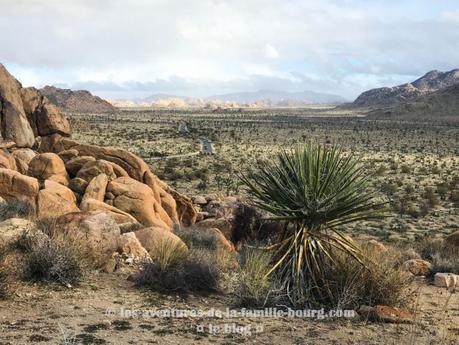 {Joshua Tree} Bouldering sous la neige