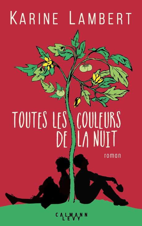 L'immeuble des femmes qui ont renoncé aux hommes - Karine Lambert Toutes les couleurs de la nuit