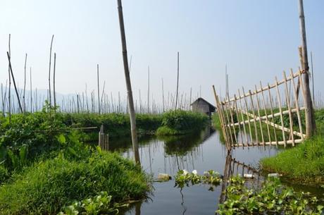 Jardin du Lac Inle, Birmanie - Crédit photo L'HommeTendance.fr