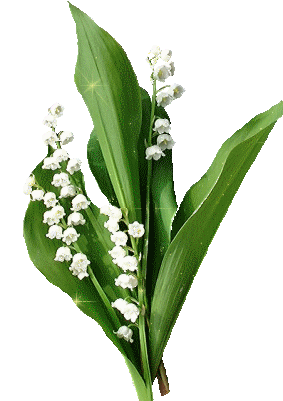 La France - le soleil et la neige