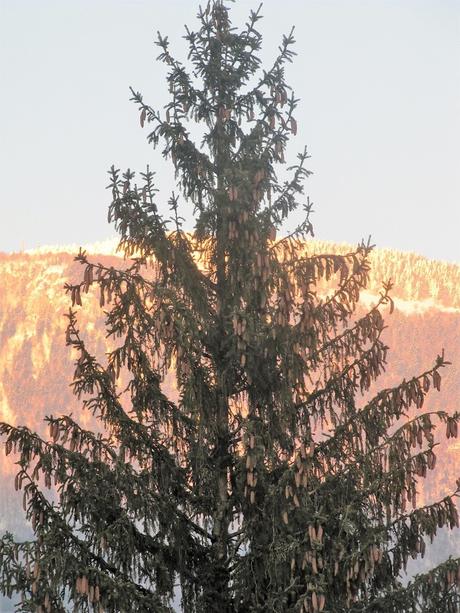 La France - le soleil et la neige