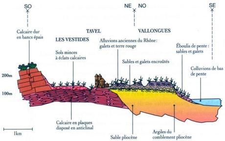 Domaine Lafond – Domaine Viticole bio en Tavel, Lirac et Châteauneuf du Pape