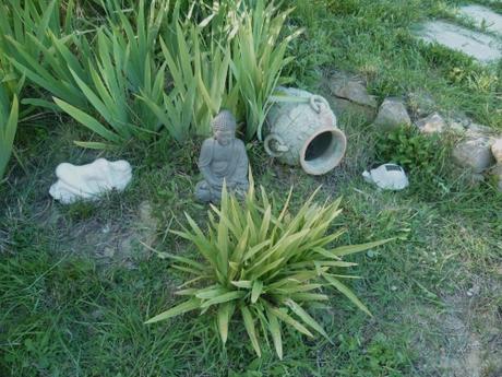 PLANTES ET FLEURS AU JARDIN fleurs, plantes, jardin, printemps, saison, jardinage, loisirs