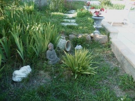 PLANTES ET FLEURS AU JARDIN fleurs, plantes, jardin, printemps, saison, jardinage, loisirs