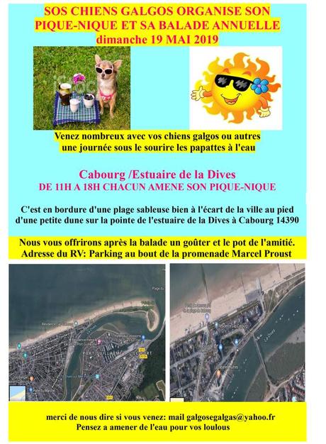 Pique-nique de l'association sos chiens galgos le dimanche 19 mai 2019 à Cabourgs 14390