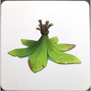 Pandaï, explorez plaines et forêts avec Origames﻿