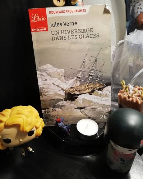 Un hivernage dans les glaces - de Jules VERNE