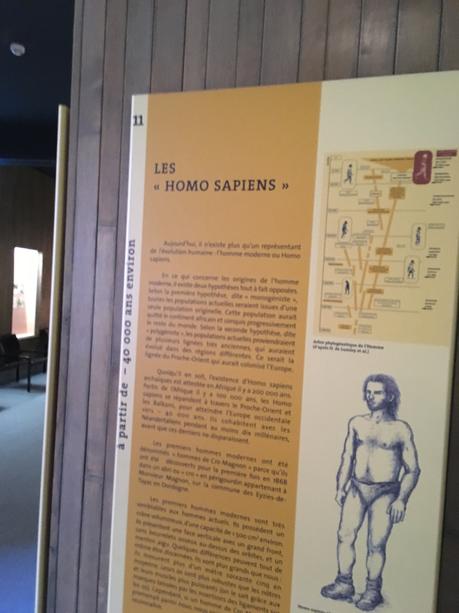 Musée d’Archéologie Nationale de Saint Germain en laye