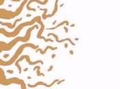 Michel Diaz, Comme chemin s’ouvre Angèle Paoli