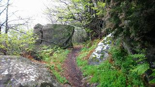 TRAIL L’ESCARÈNOISE (ENFIN PRESQUE)