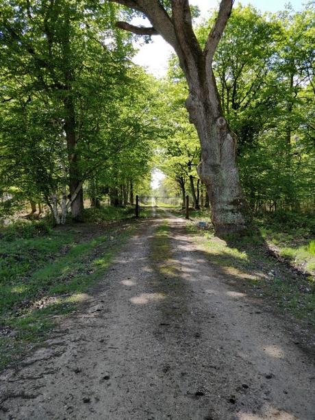 Conseils pour toucher les touristes à vélo