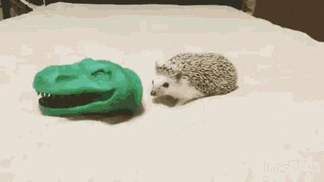 Et maintenant, un plan « permis de conduire » Et maintenant, un plan « permis de conduire »