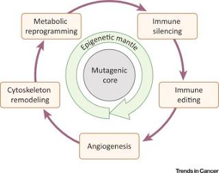 #trendsincancer #cancer #silenceimmunitaire #ADAR ADAR et Réduction au Silence Immunitaire dans le Cancer #trendsincancer #cancer #silenceimmunitaire #ADAR ADAR et Réduction au Silence Immunitaire dans le Cancer