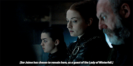 The Last of the Starks (8×04)